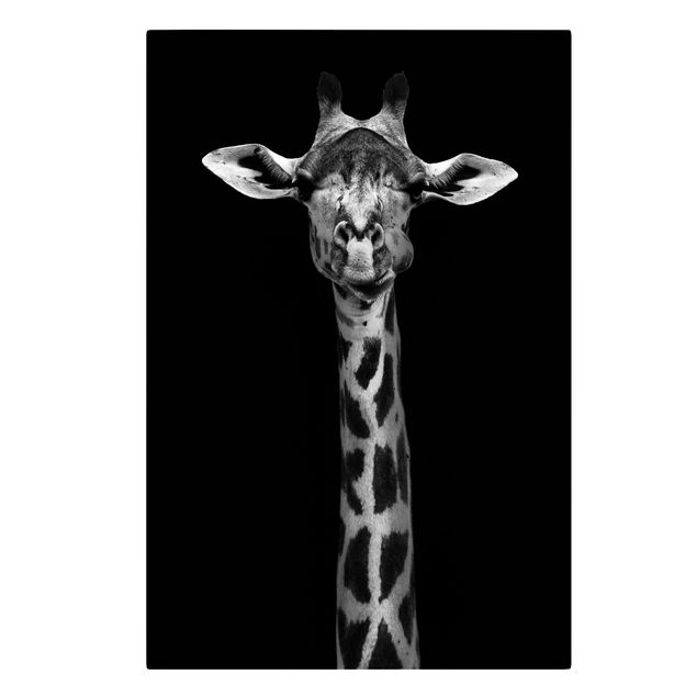 Quadri bianco e nero Ritratto di giraffa scura