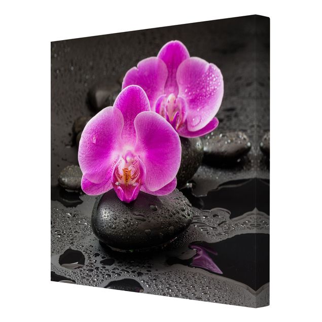 Riproduzioni quadri famosi Fiore di orchidea rosa su pietra con gocce
