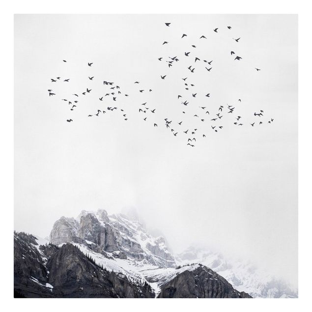 Quadri moderni per arredamento Stormo di uccelli di fronte alle montagne in bianco e nero