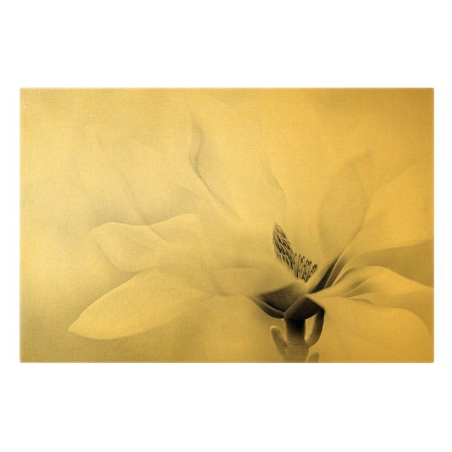 Stampe su tela Delicata fioritura di magnolia in bianco e nero
