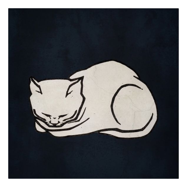 Riproduzioni quadri Illustrazione di gatto addormentato