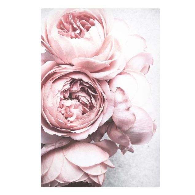 Quadri rosa Fiori di peonia rosa chiaro shabby pastello