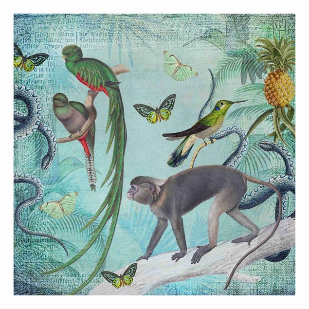 Quadro moderno Collage in stile coloniale - Scimmie e uccelli del paradiso