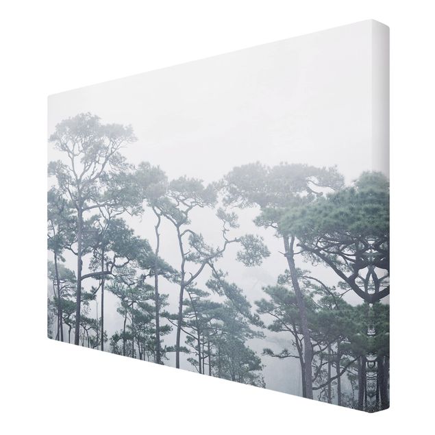 Tele con paesaggi Cime degli alberi nella nebbia
