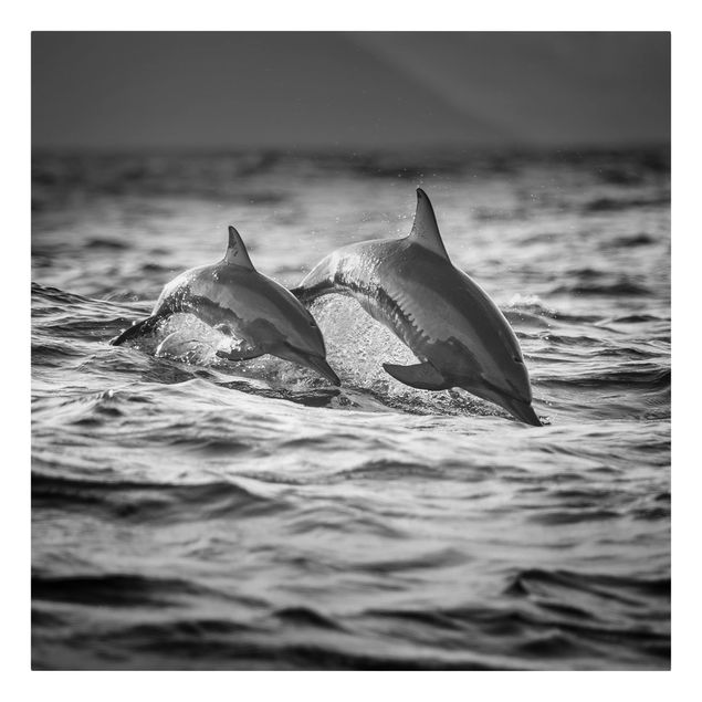 Quadri animali Due delfini che saltano