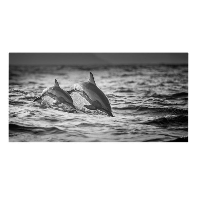Quadri con animali Due delfini che saltano