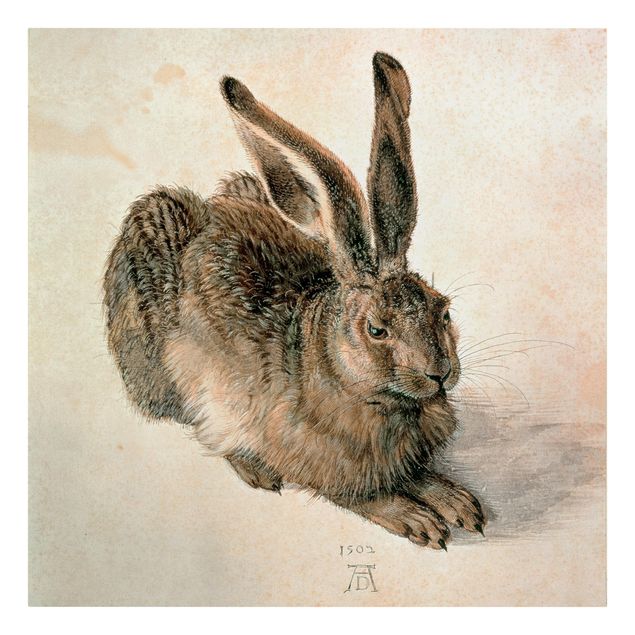 Riproduzioni quadri famosi Albrecht Dürer - Giovane lepre