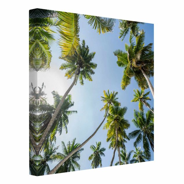 Quadri su tela paesaggio Chioma di palma