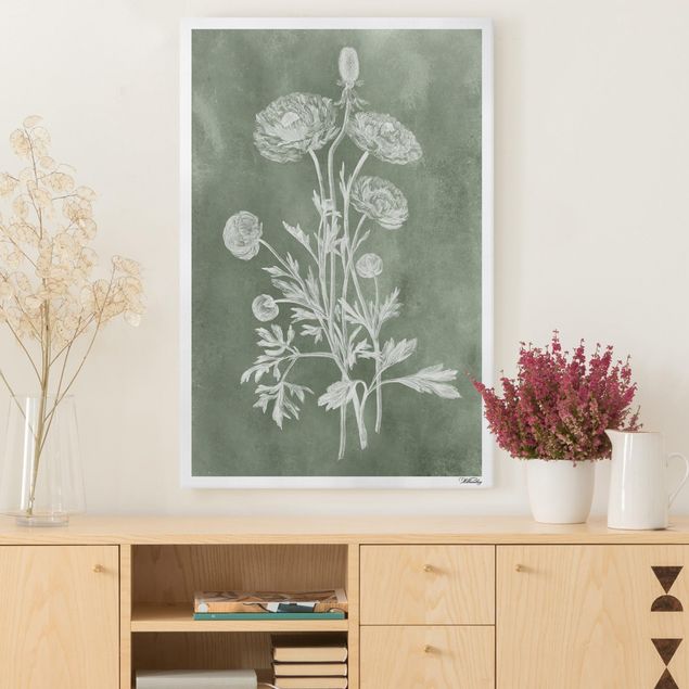 Quadri con fiori Illustrazione vintage Salvia