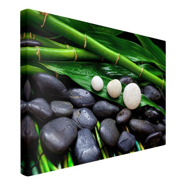Quadri di fiori Bambù verde con pietre zen