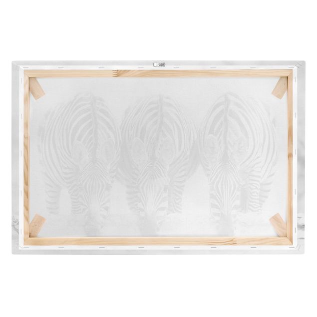 Quadri su tela Trio di zebre in bianco e nero