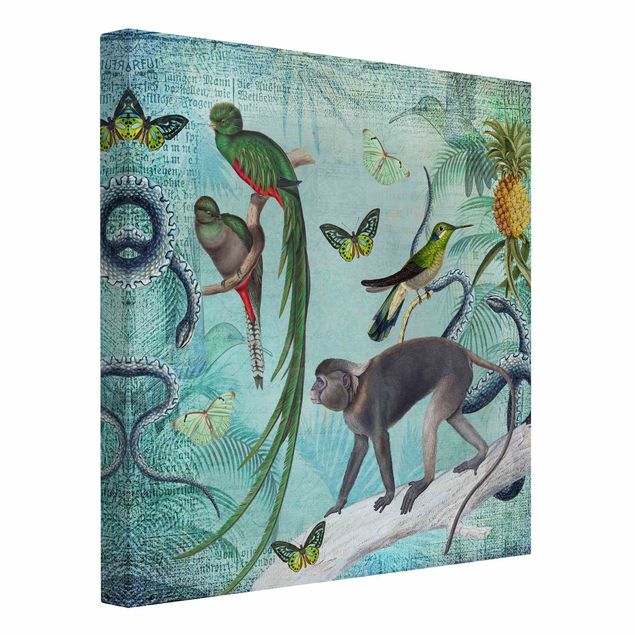 Quadri su tela con uccelli Collage in stile coloniale - Scimmie e uccelli del paradiso