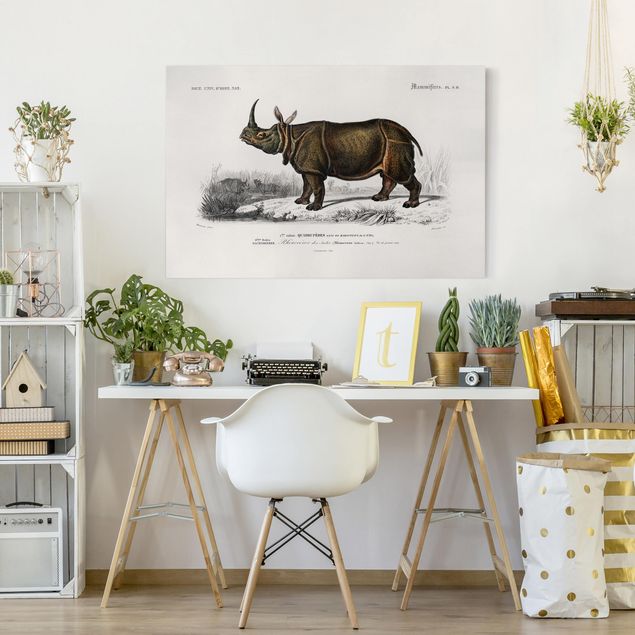 Quadri con paesaggio Bacheca Vintage Rinoceronte
