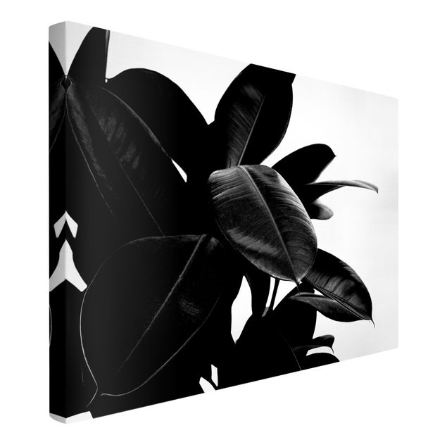 Quadri Kubistika Albero di gomma in bianco e nero
