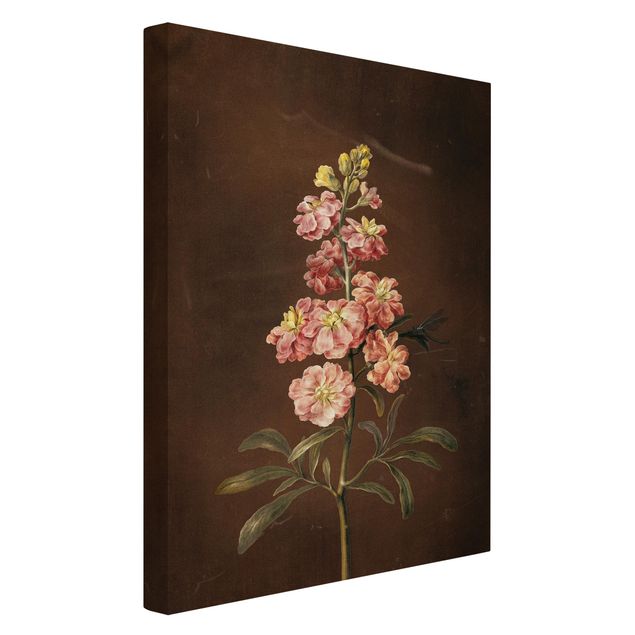 Quadri di fiori Barbara Regina Dietzsch - Una gigliofiore rosa chiaro