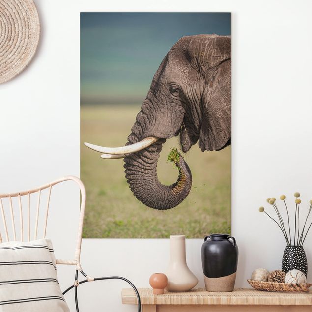 Quadri su tela con elefanti Nutrire gli elefanti in Africa