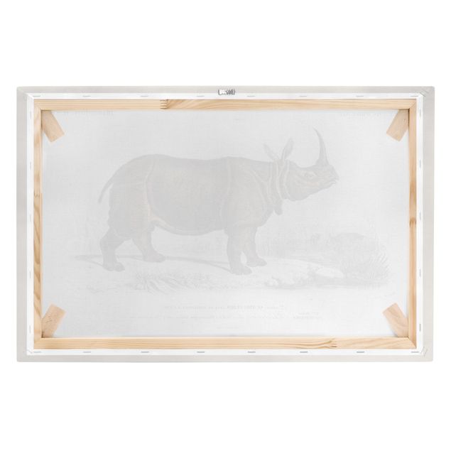 Quadri marroni Bacheca Vintage Rinoceronte