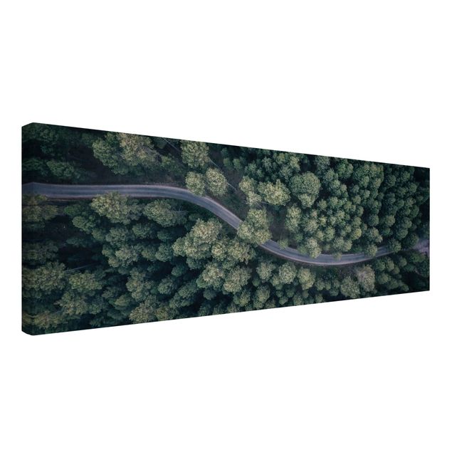 Quadro moderno Vista aerea - Strada forestale dall'alto