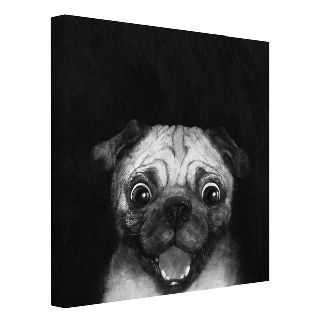 Quadri in bianco e nero Illustrazione - cane carlino pittura su bianco e nero
