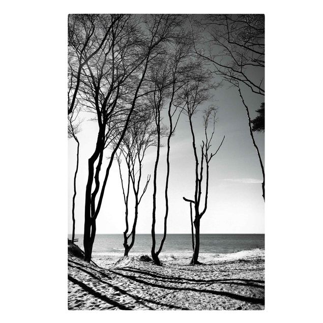 Quadri con alberi Alberi sul Mar Baltico