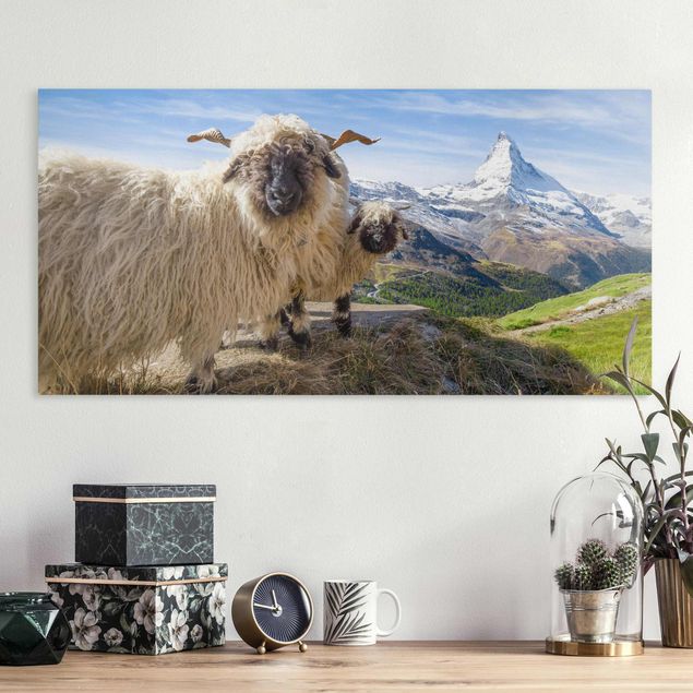 Quadri Svizzera Pecore dal naso nero di Zermatt