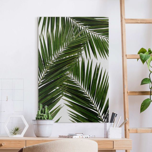 Quadri con paesaggio Vista attraverso le foglie di palma verde