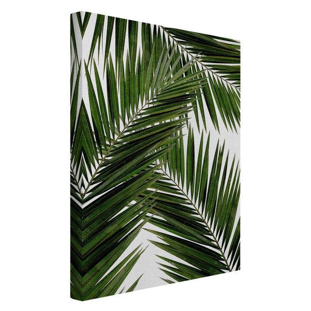 Riproduzioni quadri famosi Vista attraverso le foglie di palma verde