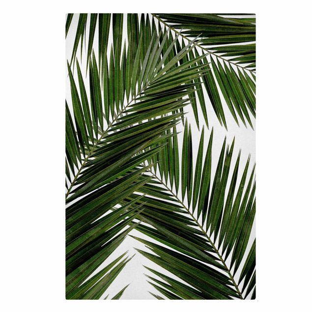Quadro verde Vista attraverso le foglie di palma verde