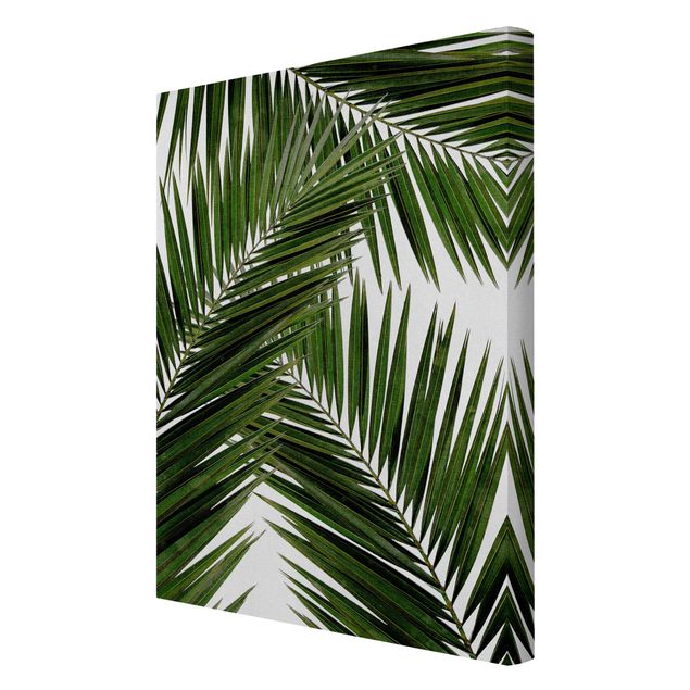 Quadri Vista attraverso le foglie di palma verde