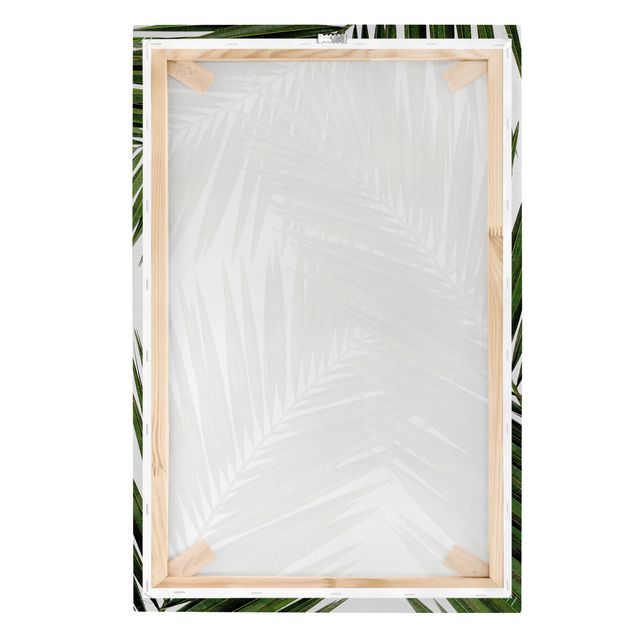 Stampa su tela Vista attraverso le foglie di palma verde