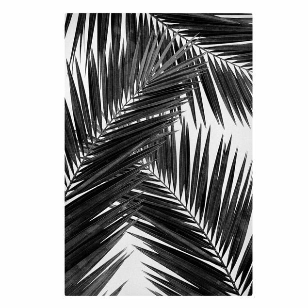 Quadri Vista sulle foglie di palma in bianco e nero