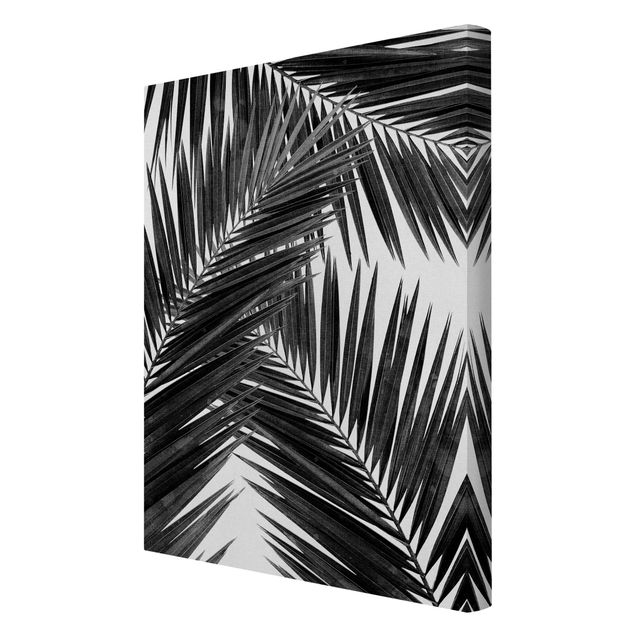 Stampa su tela Vista sulle foglie di palma in bianco e nero