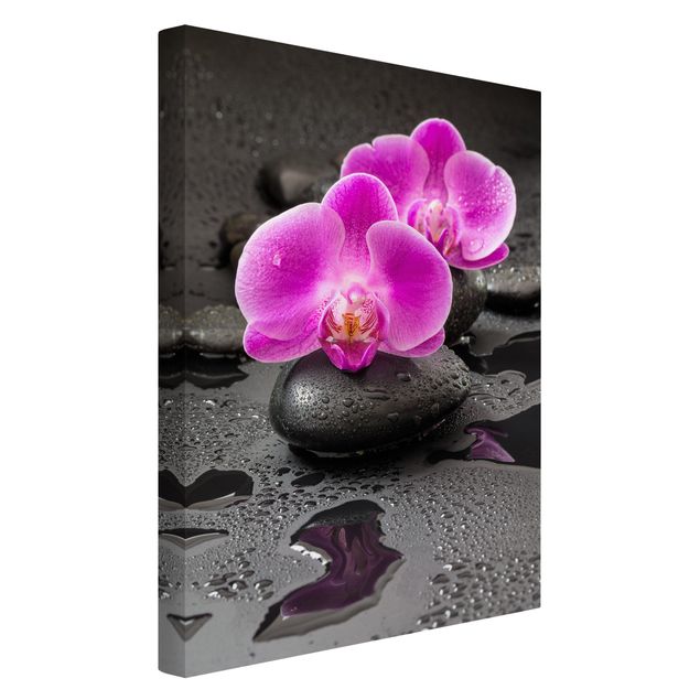 Quadri di fiori Fiore di orchidea rosa su pietra con gocce