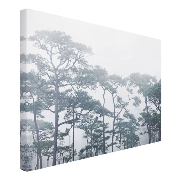 Quadri moderni per arredamento Cime degli alberi nella nebbia
