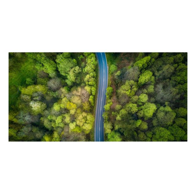Quadri sulla natura Vista aerea - Strada asfaltata nella foresta