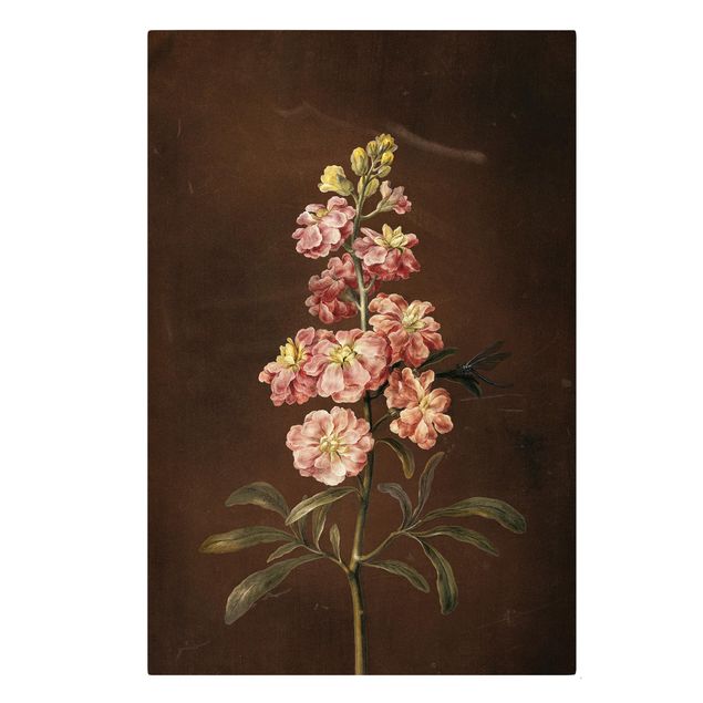 Riproduzioni quadri Barbara Regina Dietzsch - Una gigliofiore rosa chiaro