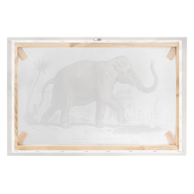 Quadro marrone Bacheca vintage Elefante