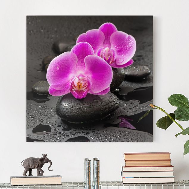 Stampe quadri famosi Fiore di orchidea rosa su pietra con gocce