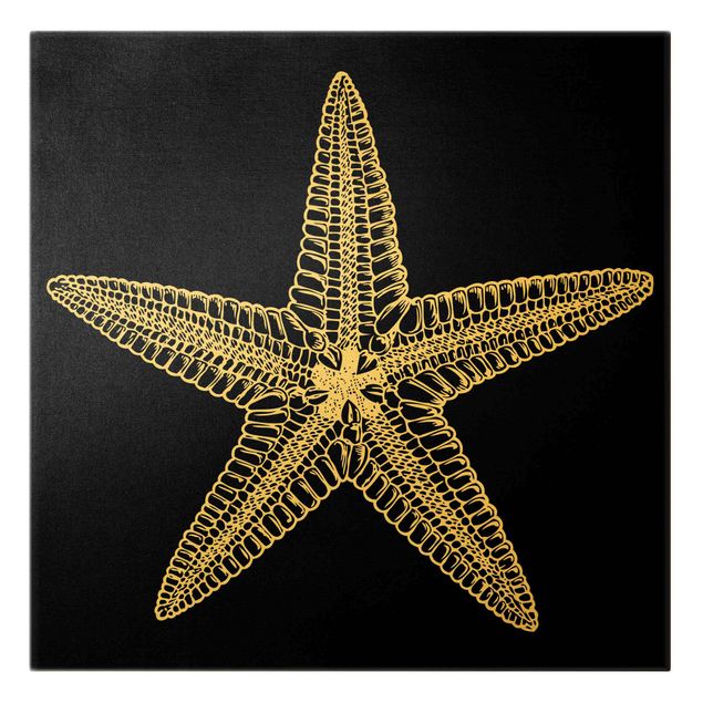Quadri Illustrazione di una stella marina in nero