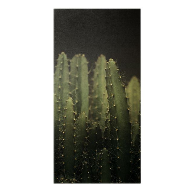 Quadri verdi Cactus del deserto di notte