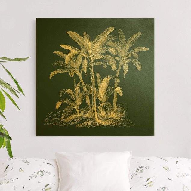 Quadri paesaggistici Illustrazione Alberi di banane su verde