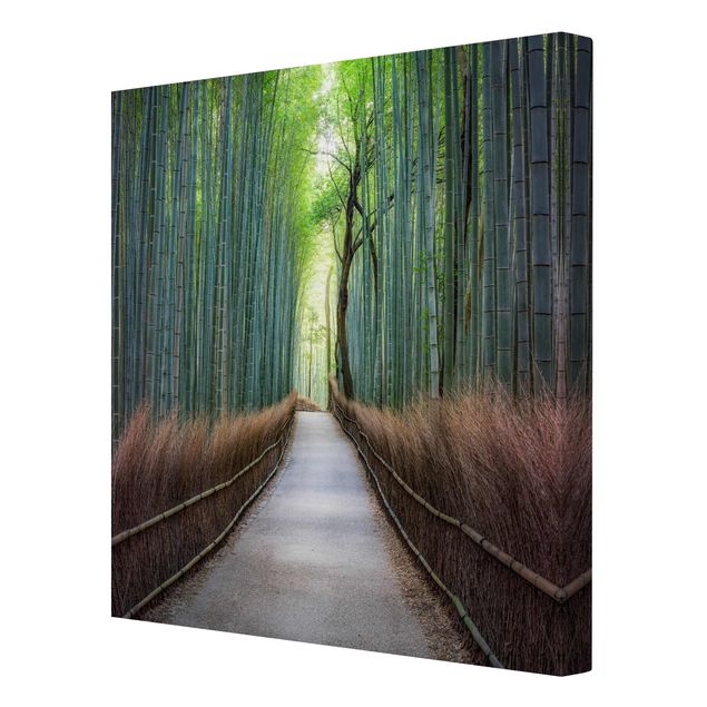 Quadri skyline  Il sentiero attraverso il bambù