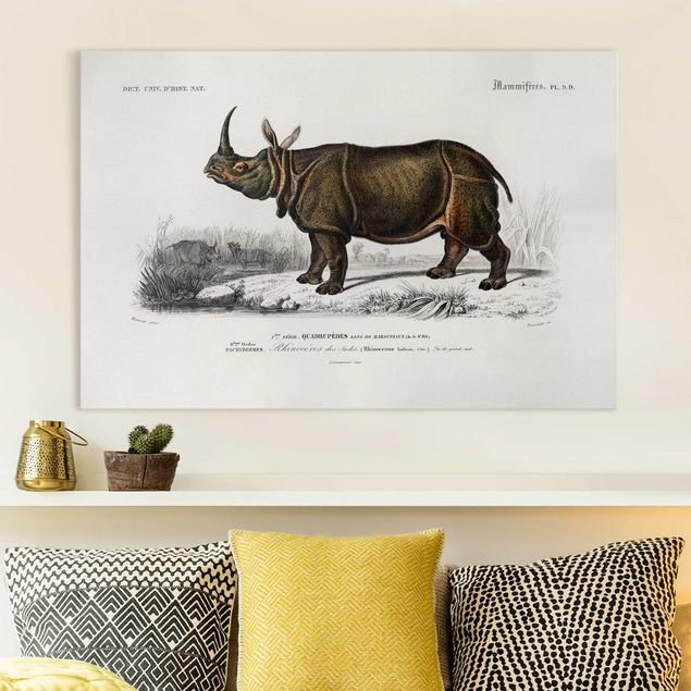 Quadro Africa Bacheca Vintage Rinoceronte