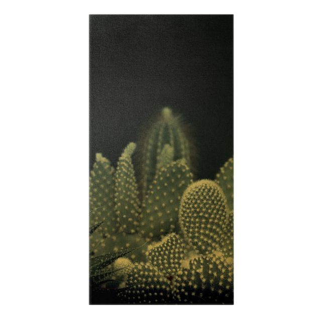 Quadri Monika Strigel Famiglia di cactus di notte