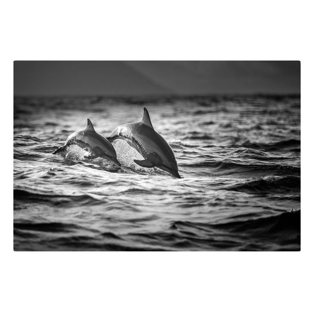 Quadro animali Due delfini che saltano