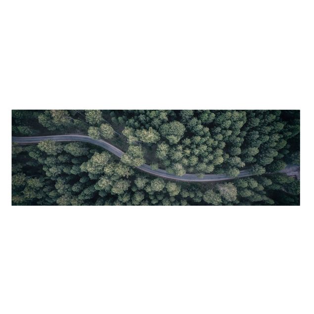Quadro natura Vista aerea - Strada forestale dall'alto