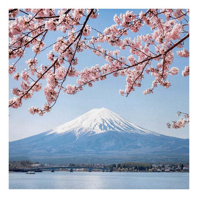 Quadri montagne Kirschblüten mit Berg Fuji