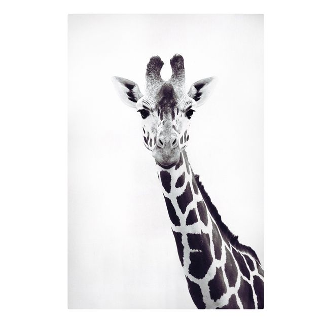 Quadro animali Ritratto di giraffa in bianco e nero
