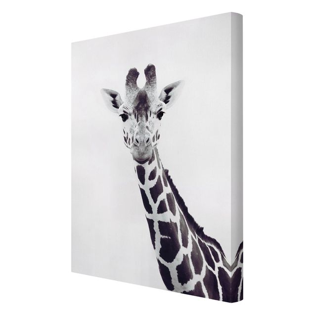 Quadri Monika Strigel Ritratto di giraffa in bianco e nero