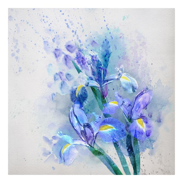 Stampe Fiori ad acquerello - Iris